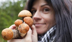 Mushrooms for Immunity & Menopause?