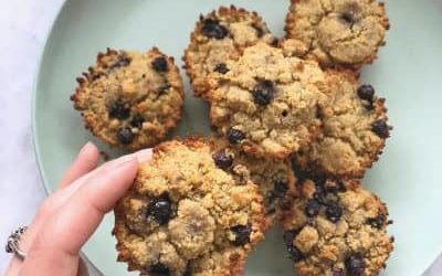 VegiDay Protein Blueberry Vanilla Muffins