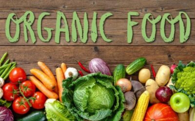 How do Organic Food Store Businesses Guarantee Freshness and Superior Quality?