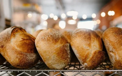 How Can Fresh Local Artisan Breads Reshape Your Daily Meals?